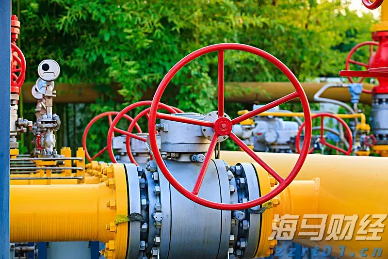 梅州海关供港澳活猪远程检疫监装模式正式启动